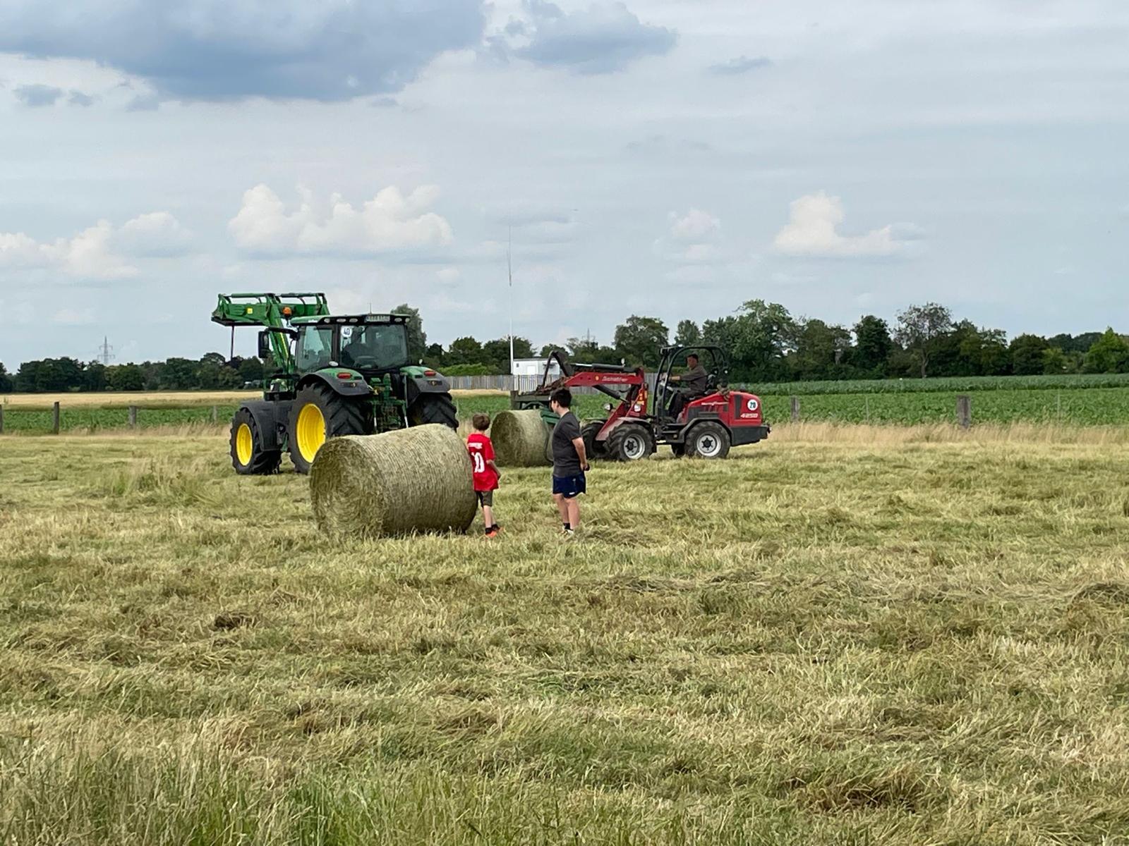 Eindruck vom Schmeddershof